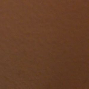 Meet your Posher, Gricelda